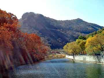 澳门天天免费精准大全，风水相师小说